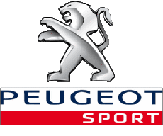 2010 Sport-Transport Wagen Peugeot Logo 2010 Sport