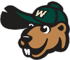 Sport Baseball U.S.A - Northwoods League Wisconsin Woodchucks 