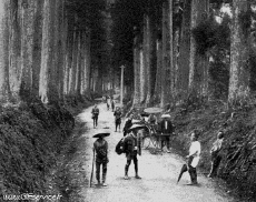 Umorismo -  Fun Effetti 3d Stéreoscopique Wiggle 