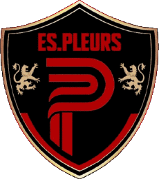 Sports Soccer Club France Grand Est 51 - Marne Ent. S de Pleurs 