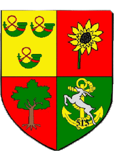 Blazon-Flags France Departments - Cities 16 BRIE Blazon