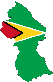 Bandiere America Guyana Carta Geografica 