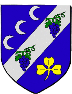 Drapeaux France Départements - Villes 58 COULANGES LES NEVERS 