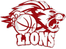 Sport Basketball Österreich Arkadia Traiskirchen Lions 