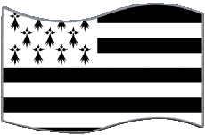 Drapeaux France Régions Bretagne Rectangle 