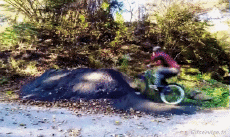 Humor - Fun Deportes BMX Fun Win 
