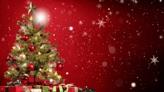 Mensajes Español Feliz Navidad Video 