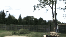 Humor -  Fun PEOPLE Lumberjack - Timber ! Fail 