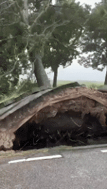 Humor -  Fun Places Wind 