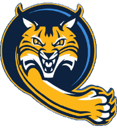 Deportes N C A A - D1 (National Collegiate Athletic Association) Q Quinnipiac Bobcats 