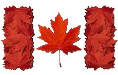 Drapeaux Amériques Canada Rectangle 