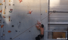 Humor -  Fun Sport Eskalation Fun Win 