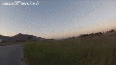 Humour - Fun Animaux Oiseaux Divers 