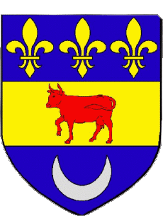 Blason-Drapeaux France Départements - Villes 11 COURSAN 