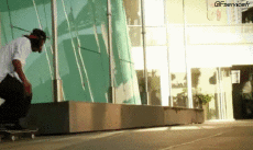 Humor -  Fun Sport Skateboard Free Style Fun - Win 02 