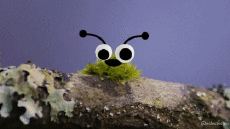 Humor -  Fun GIF Artists @Eclectech 