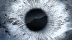 Multi Media Channels - TV France Ushuaïa TV Jingle Pub 