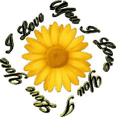 Mensajes Inglés I Love You 02 