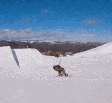 Humour - Fun Sports SnowBoard Free Style Fun Win 