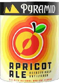 Apricot ale-Getränke Bier USA Pyramid 