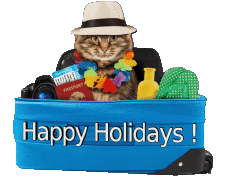 Mensajes Inglés Happy Holidays Fondo transparente 12 