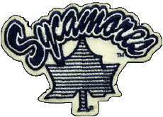 Sport N C A A - D1 (National Collegiate Athletic Association) I Indiana State Sycamores 