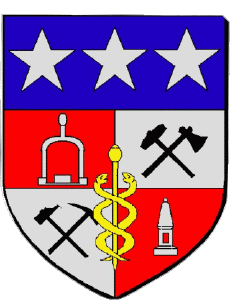 Banderas Francia Departamentos - Ciudades 71 MONTCEAU LES MINES 