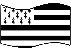 Bandiere Francia Regioni Bretagna Rettangolo 