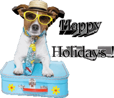 Messages Anglais Happy Holidays Fond Transparent 29 