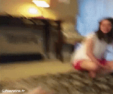 Humor -  Fun Tiere Schweine - Wildschweine Serie 02 