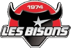 Deportes Hockey - Clubs Francia Neuilly-sur-Marne 93 Bisons 