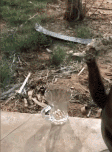 Humor -  Fun PEOPLE Drinks Serie 01 