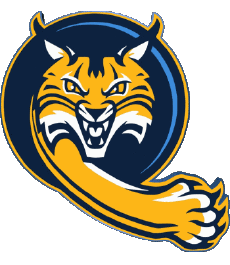 Deportes N C A A - D1 (National Collegiate Athletic Association) Q Quinnipiac Bobcats 