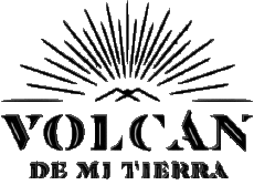 Boissons Tequila Volcan De Mi Tierra 