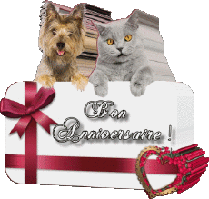 Mensajes Francés Bon Anniversaire Animaux 005 