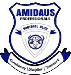 Sports Soccer Club Africa Ghana Amidaus Professionals F.C 