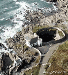 Humour - Fun Animaux Chats Serie 03 