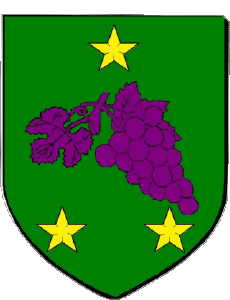 Drapeaux France Départements - Villes 47 LAYRAC 