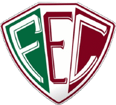 Sports FootBall Club Amériques Logo Brésil Piauí Fluminense Esporte Clube 