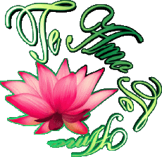 Messages Espagnol Te Amo 03 