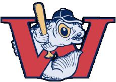 Sports Baseball U.S.A - A A B Winnipeg Goldeyes 