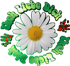 Messages Allemand Ich Liebe Dich 04 
