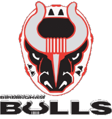 Sports Hockey - Clubs U.S.A - S P H L Birmingham Bulls 
