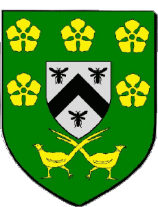 Fahnen Frankreich Abteilungen - Städte 41 SALBRIS 