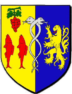 Bandiere Francia Dipartimenti - Città 30 LE GRAU DU ROI 