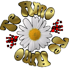 Messages Spanish Te Amo 04 