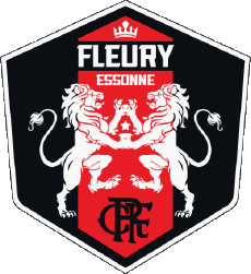 Sportivo Calcio  Club Francia Ile-de-France 91 - Essonne FC Fleury 91 