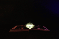 Humor -  Fun GIF Artists Lucea Spinelli 