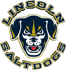 Sport Baseball U.S.A - A A B Lincoln Saltdogs 