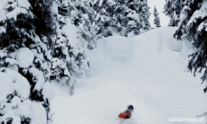 Humor - Fun Deportes Esquí Free Ride Fun Win 